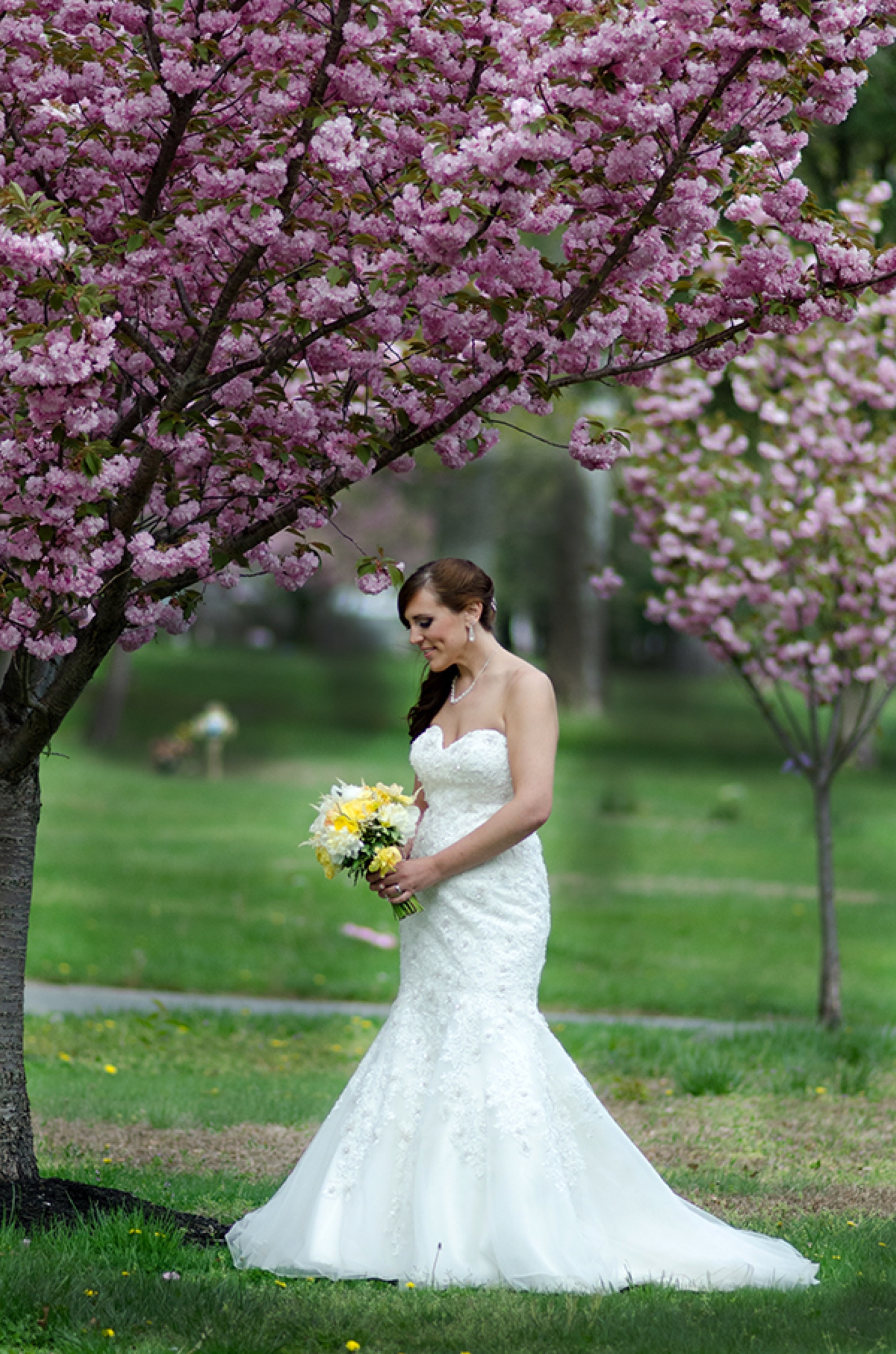 Bride under cherry blossoms