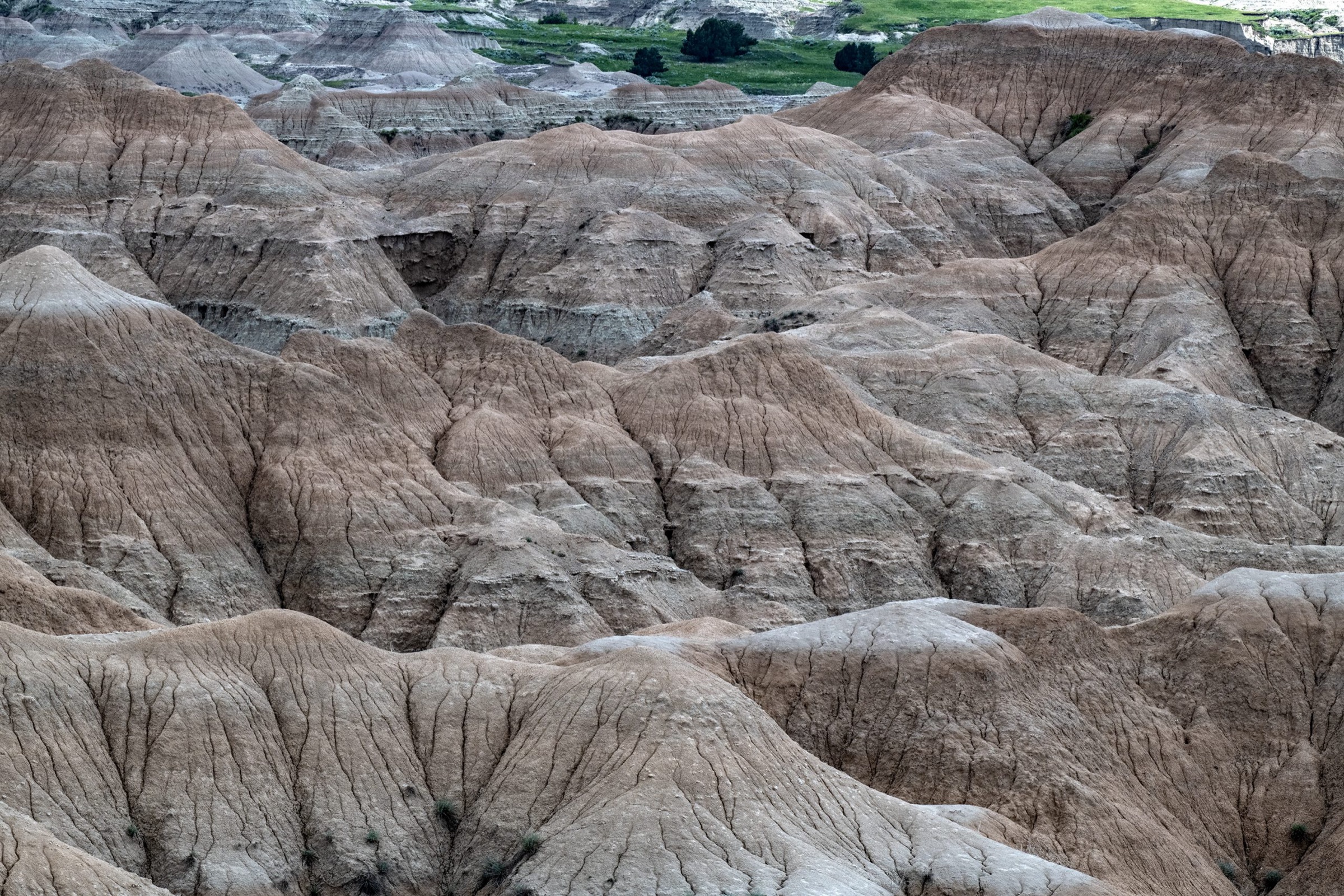 Eroded ridges of the Badlands