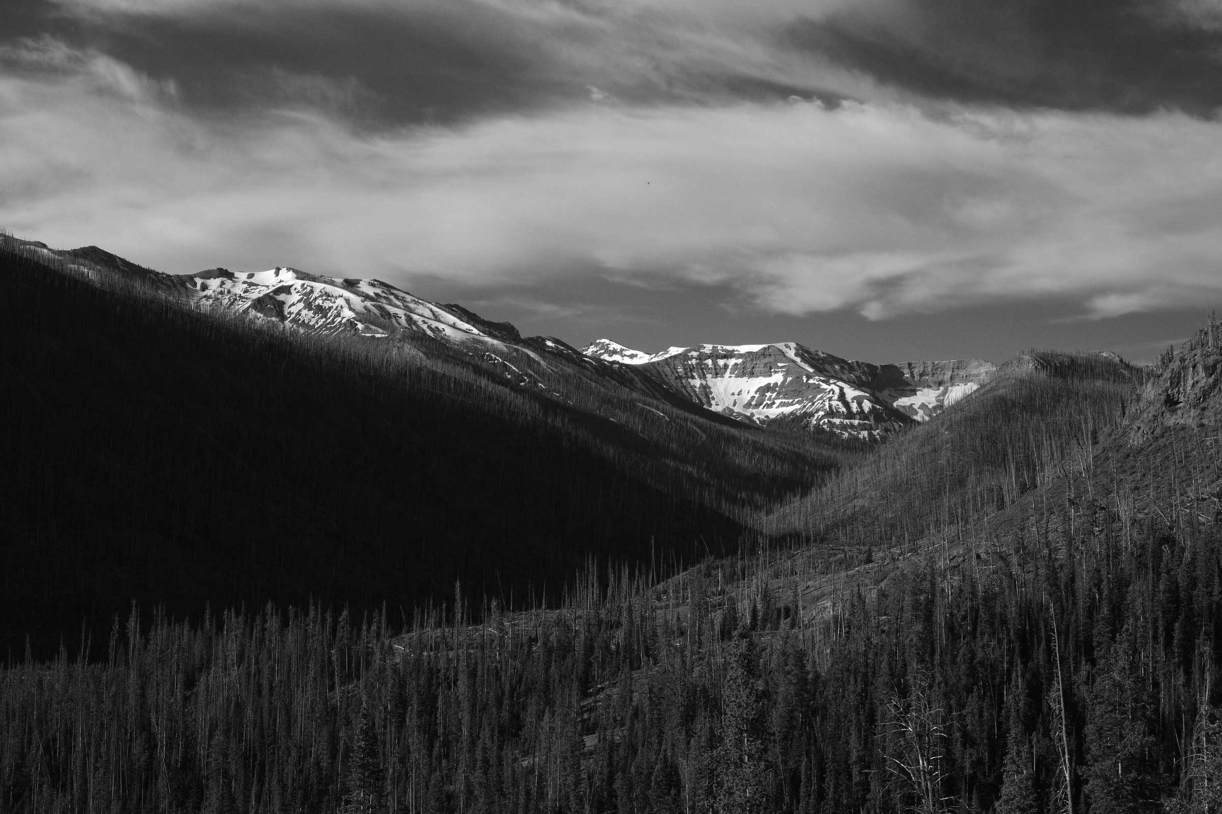 Mountain valley in black and white