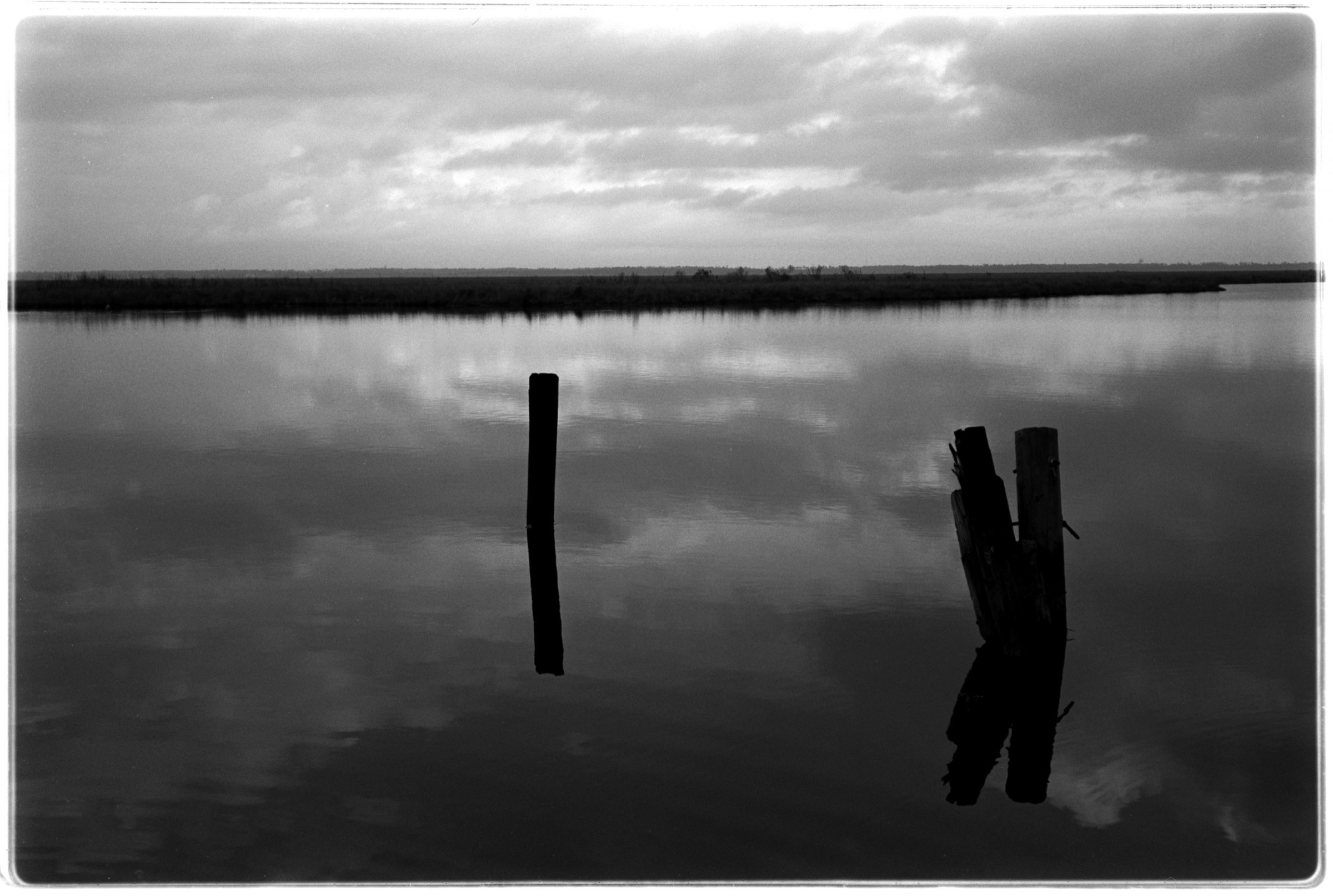 Pilings in the morning haze, Slidell