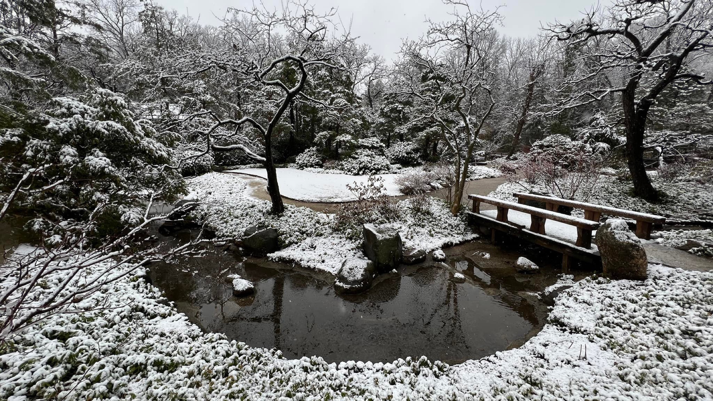 Spring snow at Anderson Gardens